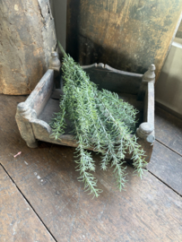 Rosemary bush UV 60 cm green grey bosje decoratie tak plant plantje kunst rozemarijn