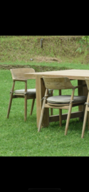 Landelijke houten stoel Tuinstoel tuinstoelen stoelen Ronde Rug (inclusief kussen)