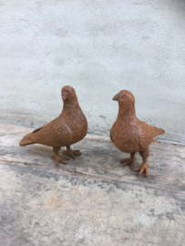 Gietijzeren duif vogel duifjes duiven duifje roest gietijzer beeld beeldje tuinbeeld tuinornament