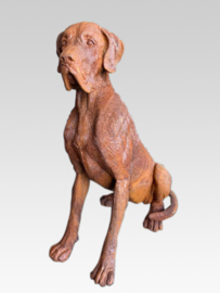Grote gietijzeren hond beeld tuin buiten outdoor roest tuinornament Duitse Deense dog