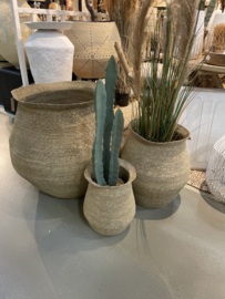Gave imitatie cactus vergrijsd groen 80 cm  in terra pot landelijk stoer sober boho Ibiza vintage