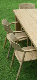 Landelijke houten stoel Tuinstoel tuinstoelen stoelen Ronde Rug (inclusief kussen)