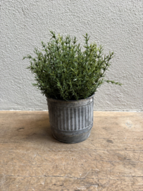 Zijden groen tak Jasmijn Jasmine decoratietak plantje bosje Thijm rozemarijn thymes tijm