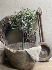 Imitatie olijfboom olijf live tree plantje boompje op stam  65 cm