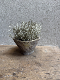 Vergrijsd grijs groen bosje imitatie kunst takje Bush calocephalus decoratie