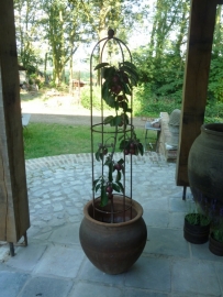 Smeedijzeren ornament  obelisk klimplant 100 cm