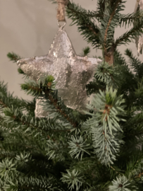 Zilver gouden kerstbal ptmd ster groot