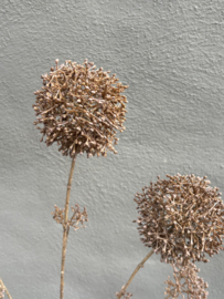 Mooie sobere decoratietak bruin kunstbloem eupatorium S Brown 90 cm