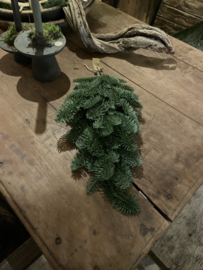 Toef groen nobilis kunst 50 cm kerst kerstgroen toefje