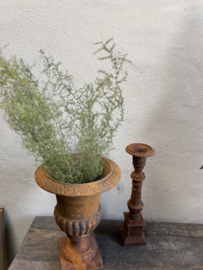 Bundel wilde asparagus 70 cm decoratie landelijke stijl groen takken