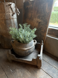 Rozemarijn bush bosje plantje steker green grey kunst 33 cm