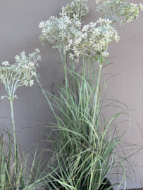 Prachtige groene plant gras wildwortel  kunst met witte bloemen bloesem in pot 60 cm