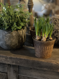 Leuk roest metalen potje bloempotje klein bak bakje beker