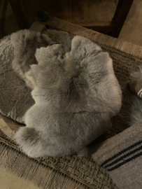 Nieuw grijs bruin taupe konijnenVachtje haas konijn huid kleed velletje