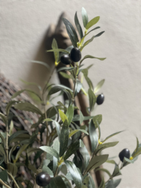 Imitatie olijfboom olijf live tree plantje boompje 50 cm