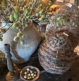 Brynxz groene green alnus els kunst immitatie kunst tak