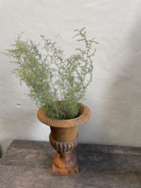 Bundel wilde asparagus 70 cm decoratie landelijke stijl groen takken