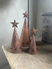 Leuke metalen boompjes boom M boompje kerstboom kerstboompjes landelijk