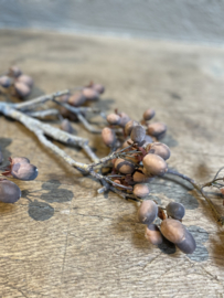 Prachtige imitatie decoratie tak kunstbloem alnus grande vergrijsd brown grey bruin grijs 92 cm