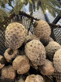 Kerstbal  landelijke stoere kerstballen dennenappel