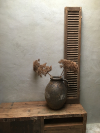 Prachtige sobere Decoratietak berenklauw kunst decoratie tak bloem
