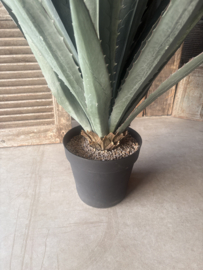 Grote agave plant in zwarte pot UV 122 cm eucalyptus kunst