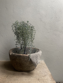 Prachtig vergrijsd groen kunstboom boompje kerstboom LED
