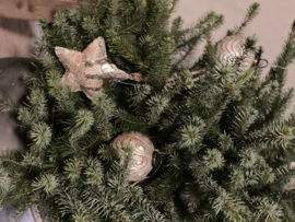 Zilver gouden kerstbal ptmd ster groot