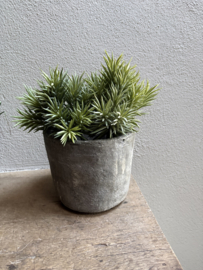 Groene kunst plant plantje tak 32 cm pine green grey vetplant