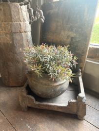 Alnus Bush grey 25 cm plantje bosje van 3 takjes kunst