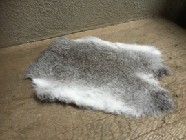 Nieuw konijnenVachtje haas konijn grijs grijze huid kleed velletje