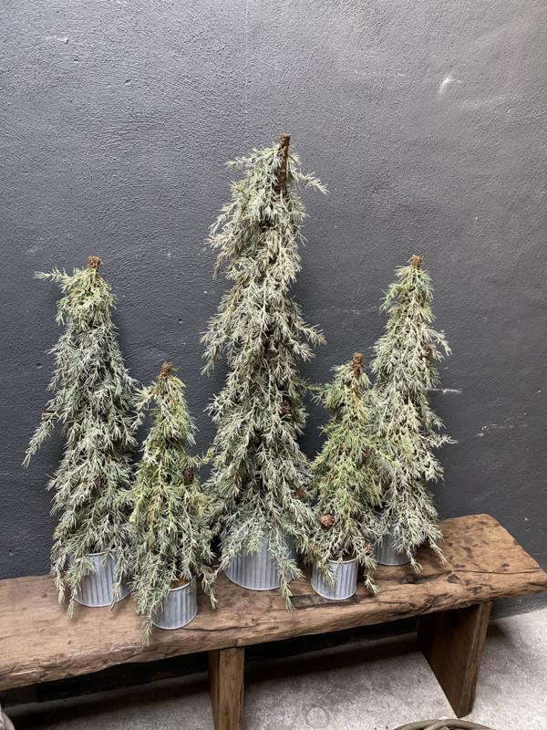 Complex Oriënteren Kritiek Hele leuke vergrijsde kerstboom Kerstboompjes kunst in zinken potje 95 cm |  Decoratie | 't Jagershuis