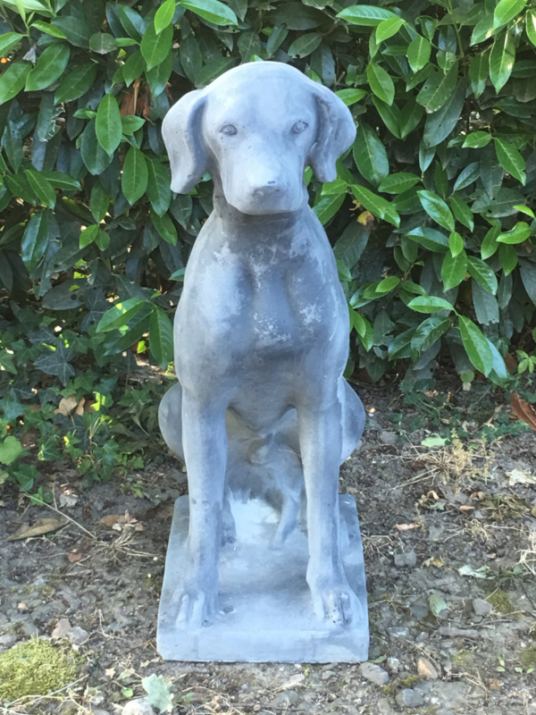 Groot grote grijze betonnen Dog pointer beeld hond tuinbeeld massief weather 4 seizoenen vorstbestendig Tuin | 't Jagershuis