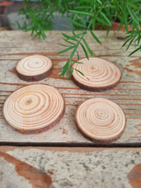 boomstamschijfjes 4 stuks