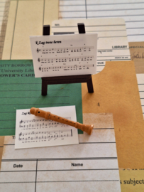 blokfluit 5 cm & bladmuziek