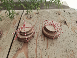 boomstamschijfjes 4 stuks