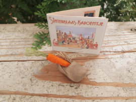 Sinterklaas boekje