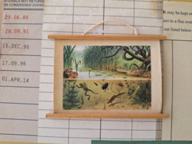 schoolkaart in sloot en plas
