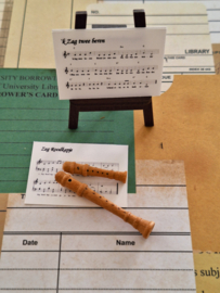 blokfluit 5 cm & bladmuziek