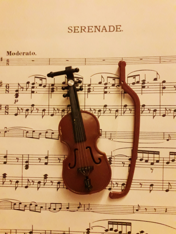 viool kunststof