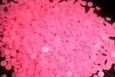 Resin Pink Neon SS10