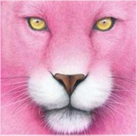 Roze Leeuw 20x20 cm