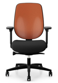 Giroflex 353 Netweave rug
