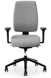 Giroflex 68