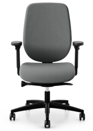 Giroflex 353