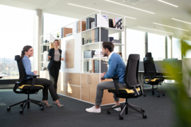 Interstuhl Joyce JC2N1, NPR1813