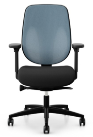Giroflex 353 Netweave rug