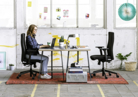 Dauphin Trendoffice To-Strike Comfort SK 9248