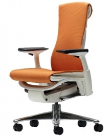 Embody Herman Miller