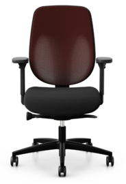 Giroflex 353 Netweave rug